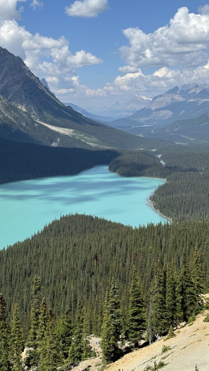 Icefield Parkway | Part 2 Rampart Creek Campground aka living with a bear