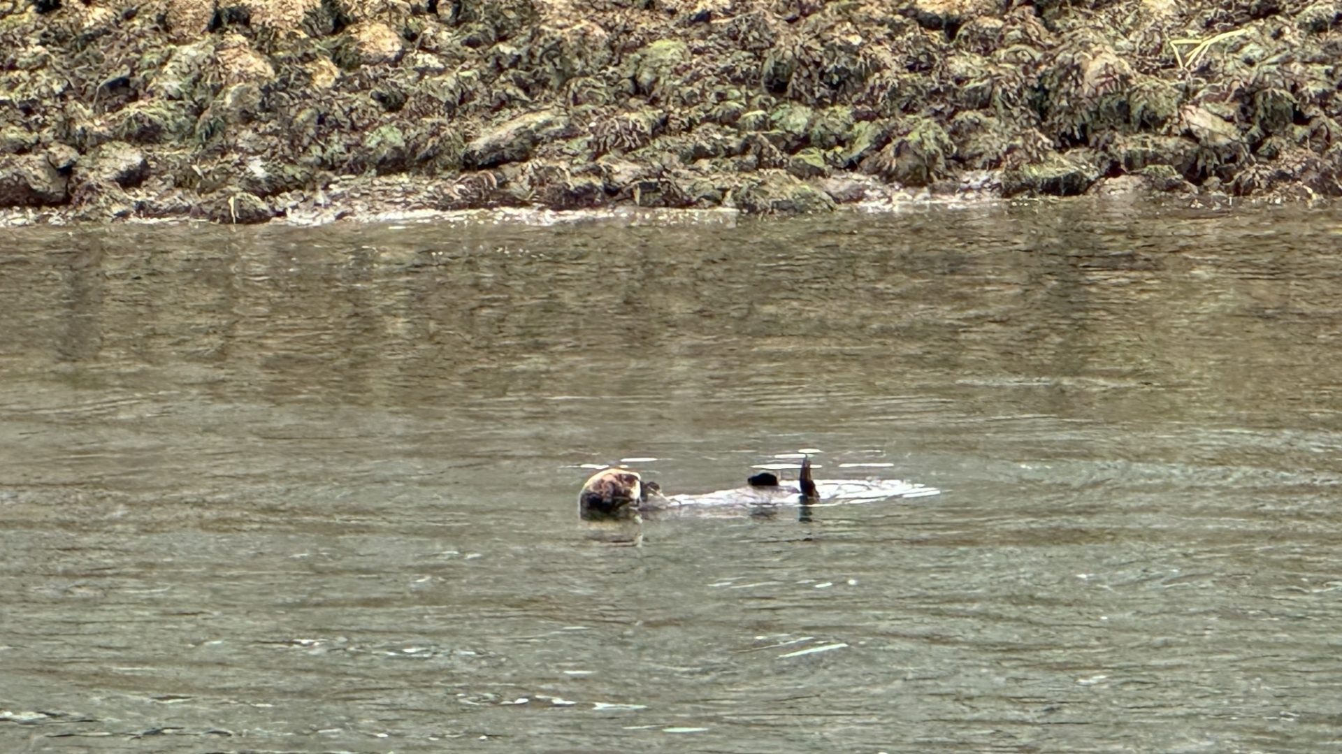 Trip to Seldovia – dreamy village across Kachemak Bay where time stands still