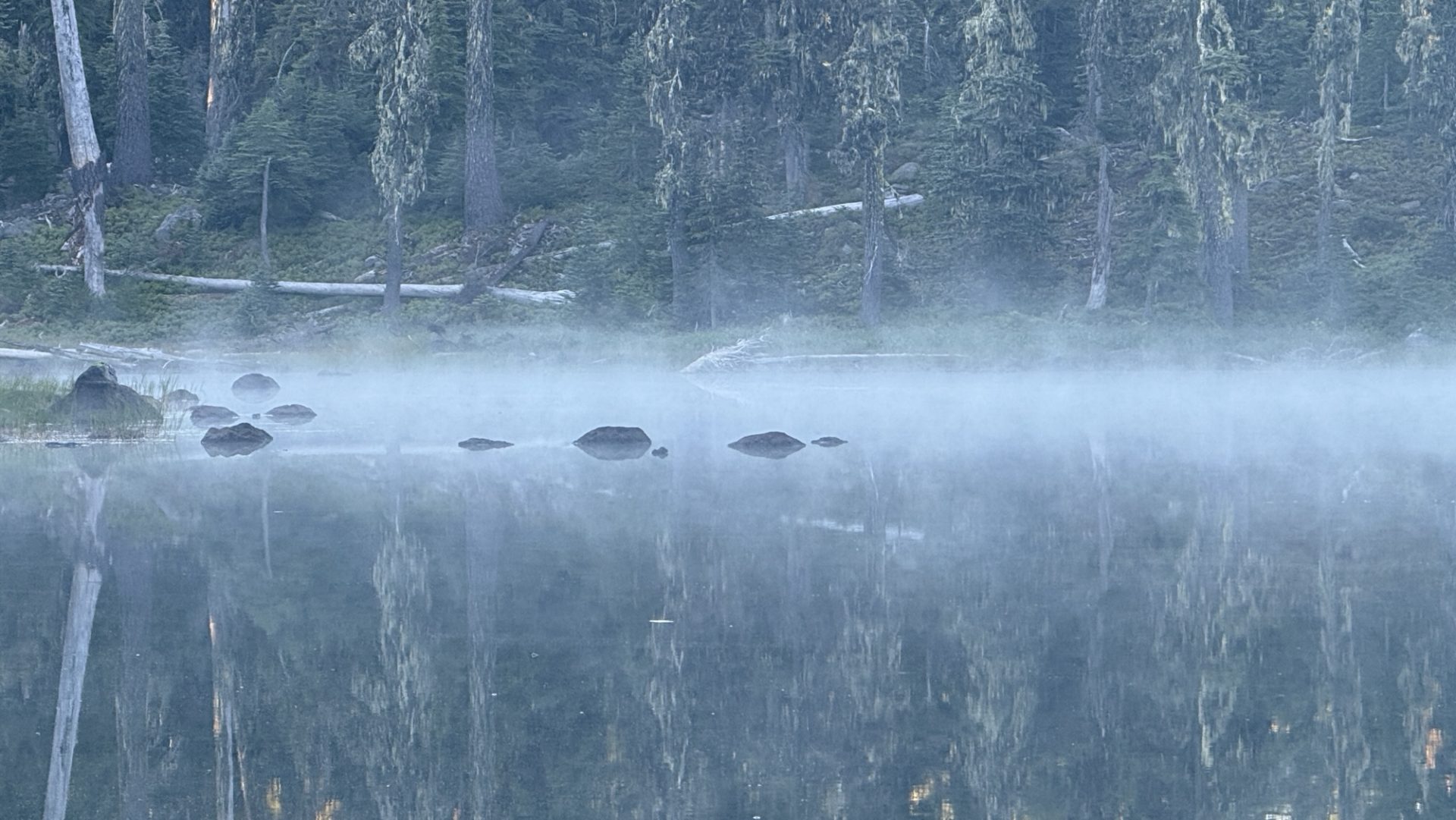 Day 100: Deer Lake mile 1791.9 (18 miles)
