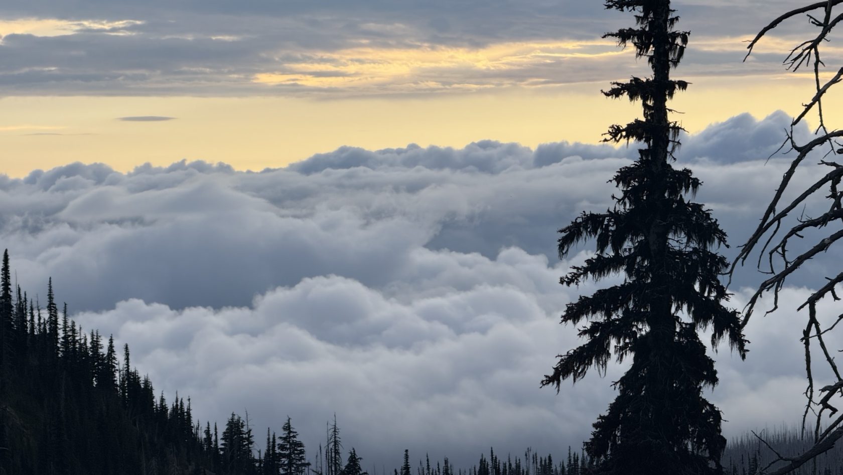 Days 119 – 129: Miles 2150.3 – 2396.3 / Cascade Locks to Snoqualmie Pass